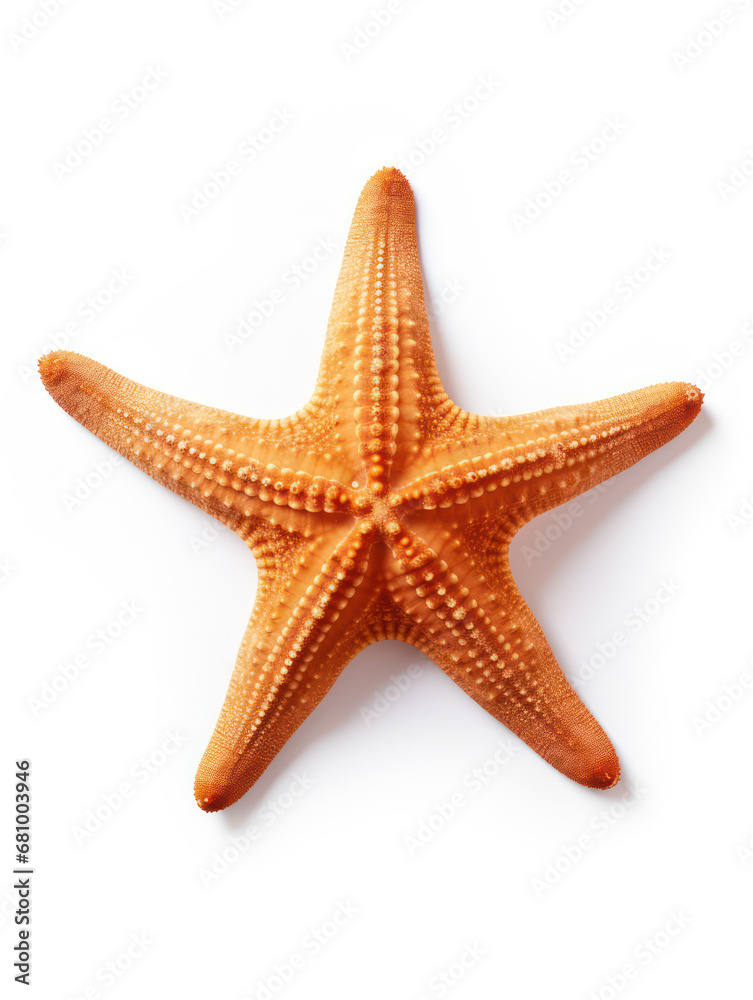 Starfish Studio Shot Isolated on Clear White Background, Generative AI Starfish Studio Shot Isolated on Clear White Background, Generative AI
