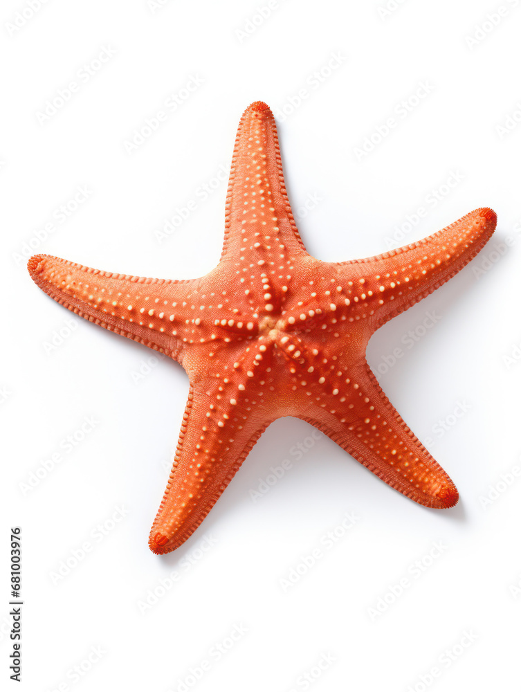 Starfish Studio Shot Isolated on Clear White Background, Generative AI Starfish Studio Shot Isolated on Clear White Background, Generative AI