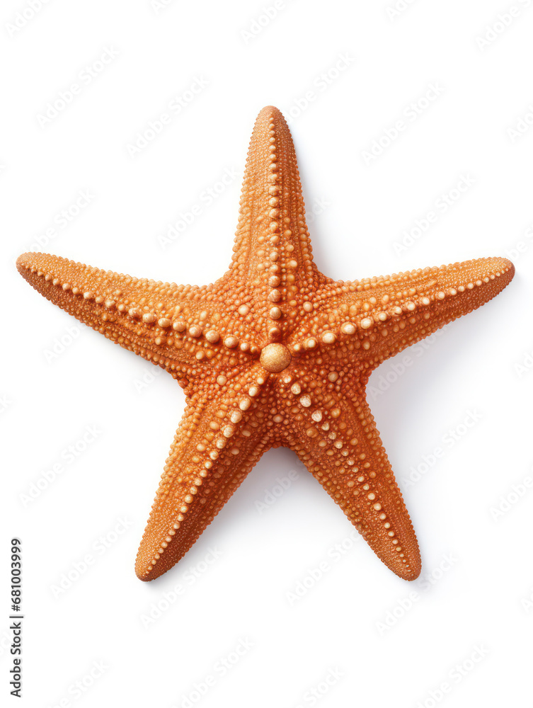 Starfish Studio Shot Isolated on Clear White Background, Generative AI Starfish Studio Shot Isolated on Clear White Background, Generative AI