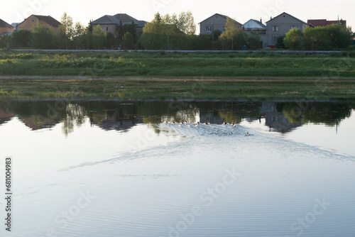 reflection of trees in the lake