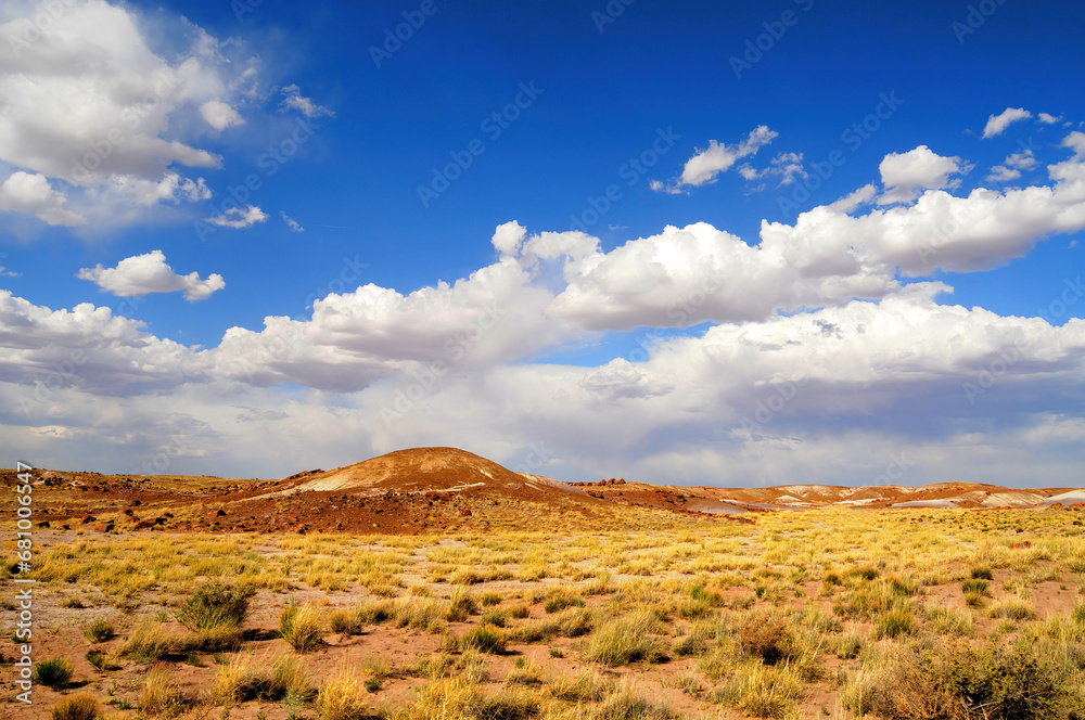 Rugged and Desolate Landscape Petrified Forest Arizona Rugged and Desolate Landscape Petrified Forest Arizona