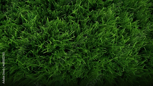 Green grass seamless texture on striped sport field. Astro turf pattern. Carpet or lawn top view. Baseball, soccer, football or golf game. Fake plastic or fresh ground for game play
