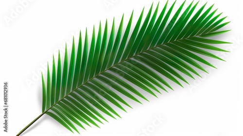 green leaves of trees and plants. Elements for eco and bio background photo