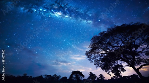 Night sky - Universe filled with stars, nebula and galaxy seen in forest
