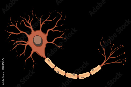 Neuron. Vector Illustration of a Nerve Cell. The Basic Unit of Communication in the Nervous System