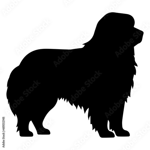 newfoundland Dog Vector Silhouette, Generative AI.