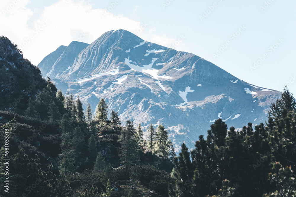 snow covered mountains with forest foreground on a spring day