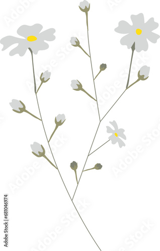 Fototapeta Naklejka Na Ścianę i Meble -  Flower Floral Botanic