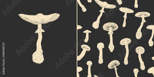 Vector illustration set of moon phases. Different stages of moonlight activity in vintage engraving style. Zodiac Signs