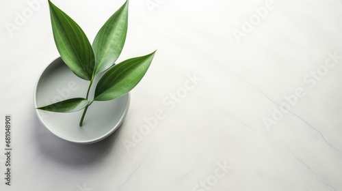  a close up of a plant in a bowl on a table with only one leaf on the top of the bowl and one leaf on the bottom of the bowl.