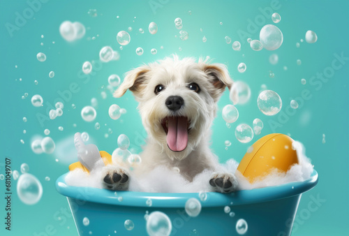 A cute little dog taking a bubble bath with his paws up on bubble the rim of the tub