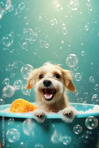 A cute little dog taking a bubble bath with his paws up on bubble the rim of the tub © suthiwan