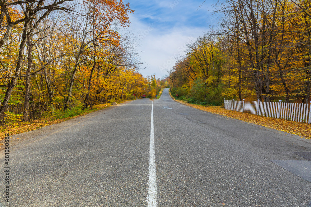 Fototapeta premium Road passing through an autumn forest in the mountains