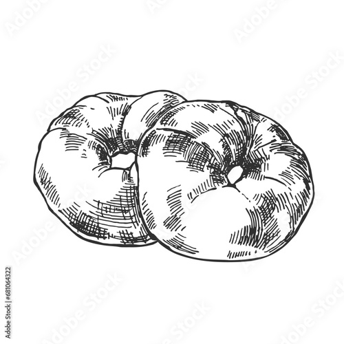 Hand drawn vector ciambelline illustration. Italian traditional sweet dessert. National pastry image