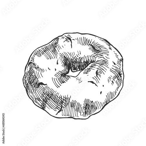 Hand drawn vector ciambelline illustration. Italian traditional sweet dessert. National pastry image