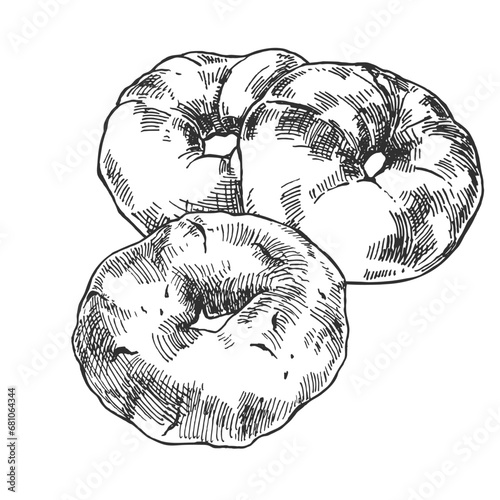 Hand drawn vector ciambelline illustration. Italian traditional sweet dessert. National pastry image
