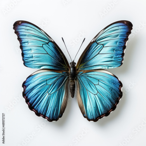 A beautiful Blue Butterfly with vibrant wings, isolated on a white background. Nature's art in flight, a celebration of color and beauty. ai generative © tope007