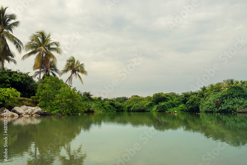 Green Coconut palms reflected in water. Tropical landscape. Costa Rica. Tropical landscape.