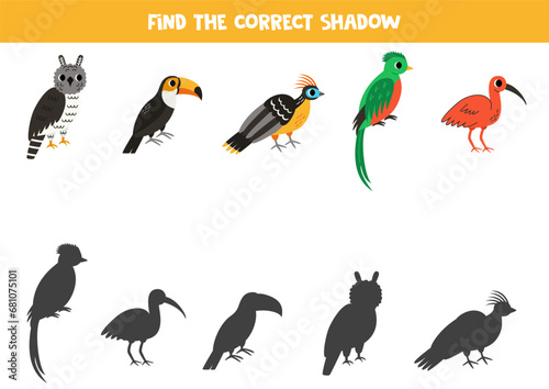 Find shadows of cute south American animals. Educational logical game for kids.