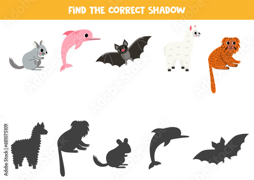 Find shadows of cute south American animals. Educational logical game for kids.