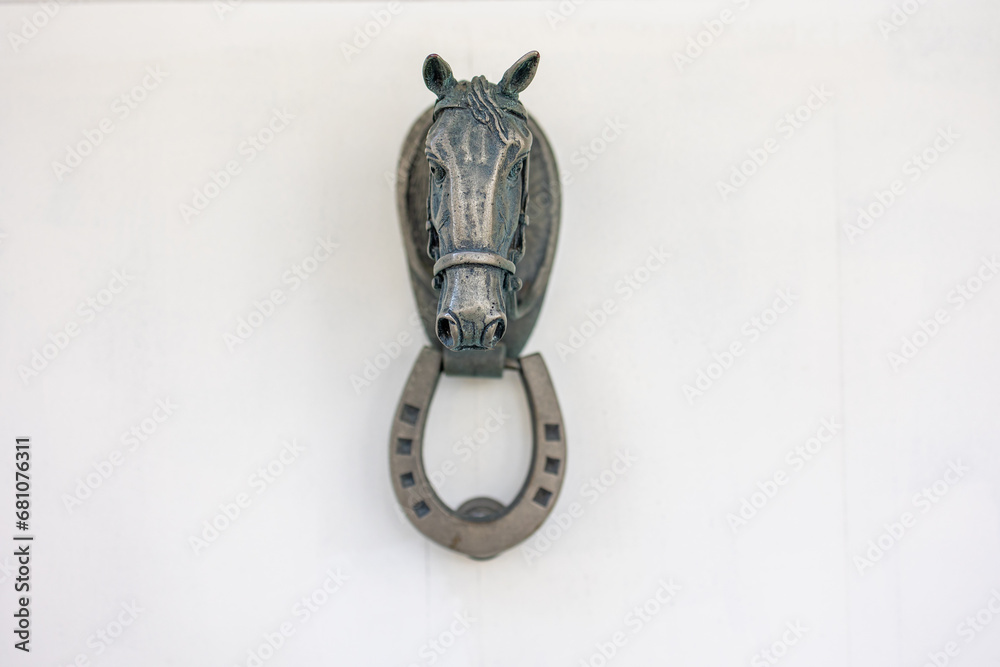 Elegant Equine Art: Horse Head and Lucky Horseshoe