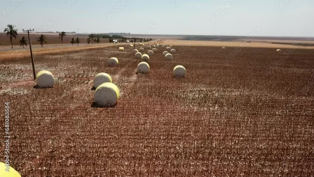 Imagem aérea de uma plantação de algodão colhida. Fardos de algodão colhido no Mato Grosso - Brasil