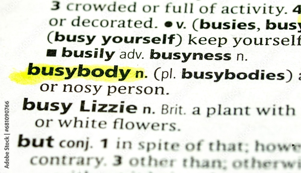 BUSYBODY BUSYBODY