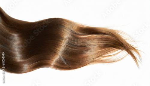 long brown human dark hair isolated on white background