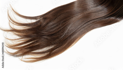 long brown human dark hair isolated on white background