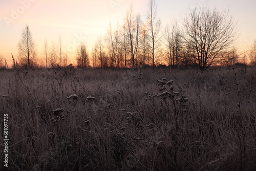 Frost on the grass and trees against the background of the orange sky of the autumn dawn