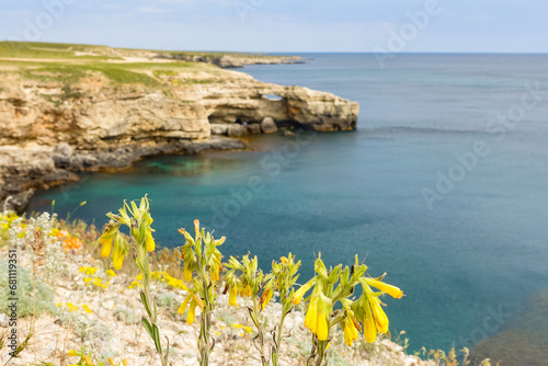 Cape Tarkhankut on the Crimean peninsula. The rocky coast of the Dzhangul Reserve in the Crimea. The Black Sea. Turquoise sea water. Rocks and grottoes of Cape Tarkhankut. photo