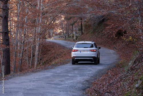 Coche desde detrás en una carretera sinuosa en bosque durante el otoño