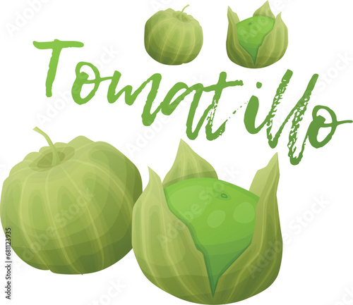 Tomatillo vector icon isolated on white backkground, green vegetables group cartoon illustration. Organic fresh food ingredient for mexican kitchen, tomatillo verde plant drawing