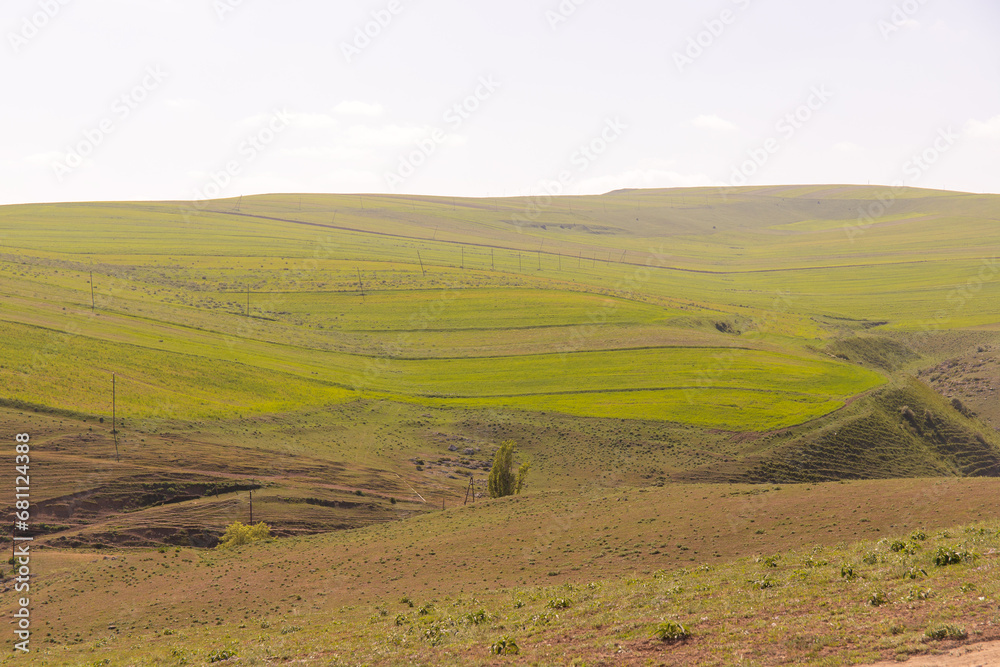 Obraz premium Green fields in the mountains.