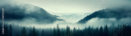 panoramic green foggy forest mountain landscape with pine trees fog and mountains, wallpaper banner, copy space for text © XC Stock