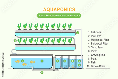 Aquaponic illustration using the RAS (Recirculation aquaculture system) technique, which is equipped with complete parts