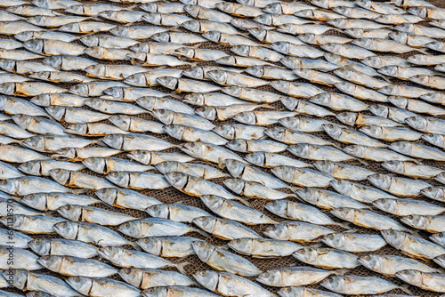 rows of drying mackerel or saba fish on the road by the ocean in an Indian village. poor areas of goa photo