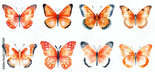orange watercolor aquarelle butterfly set butterflies isolated on transparent background clipart