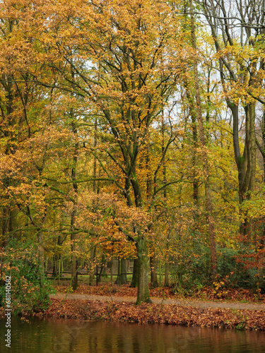 Regentag im Stadtwald von Bocholt