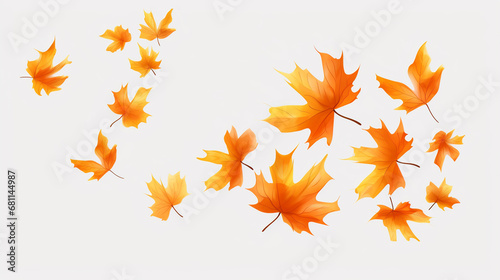 Falling yellow leaves on a white background © frimufilms
