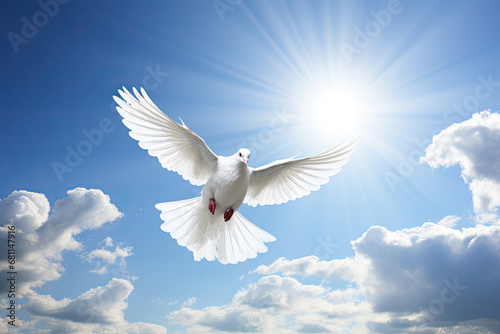 White dove flying in the sky. Peace. Relax. Calm.