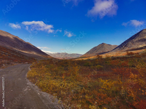 Autumn Arctic landscape in the Khibiny mountains. Kirovsk, Kola Peninsula, Polar Russia. Autumn colorful forest in the Arctic, Mountain hikes and adventures. © Виктория Балобанова