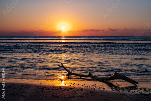 夕焼けの海の流木 © syu