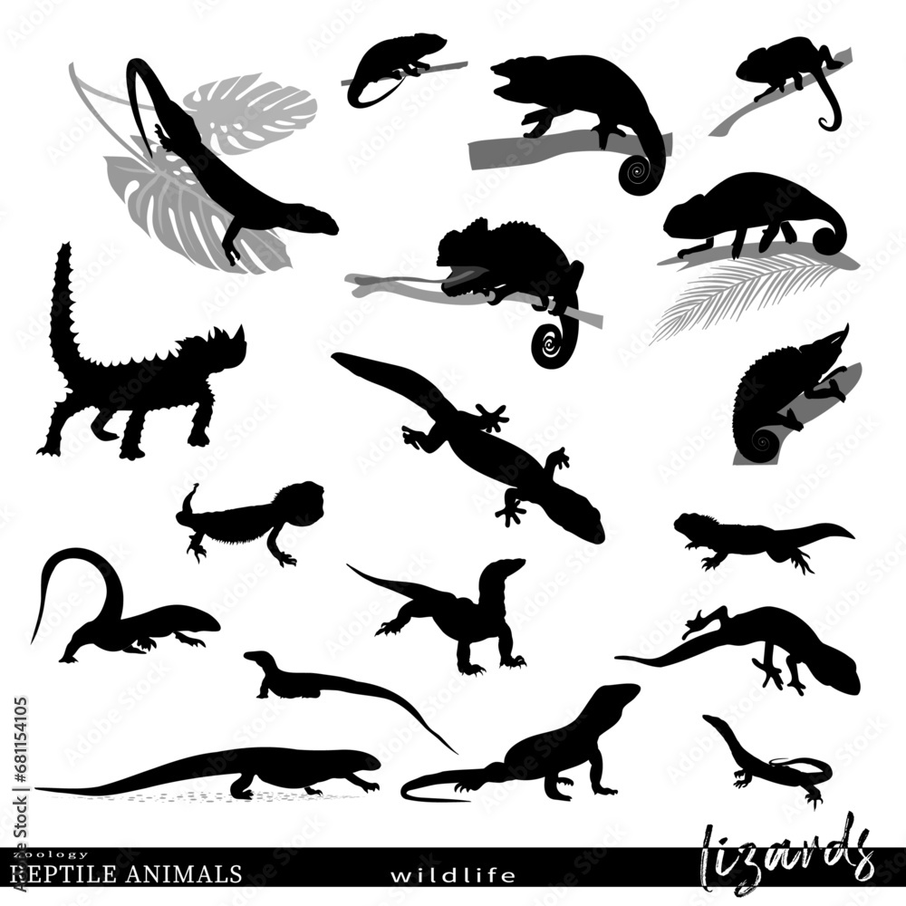 Lizard silhouettes and wildlife scenes. Vector illustration.