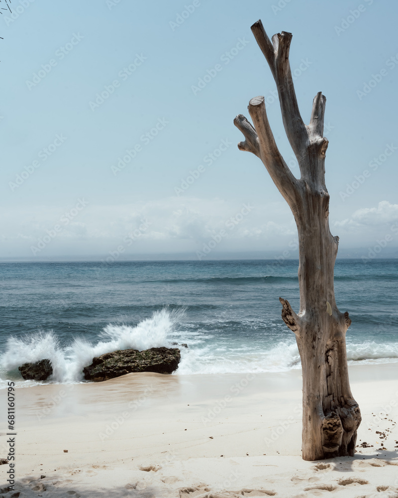 L'onda dell'oceano si infrange sullo scoglio. L'onda dell'oceano si infrange sullo scoglio.