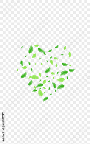 Greenish Plant Background Transparent Vector. Sheet Herbarium Design. Vitality Texture. Green Mint Card. Vegetation Border.