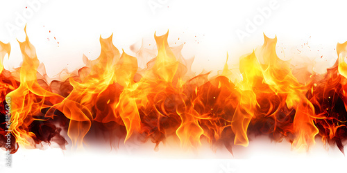 fire flames background fire flames on a white background