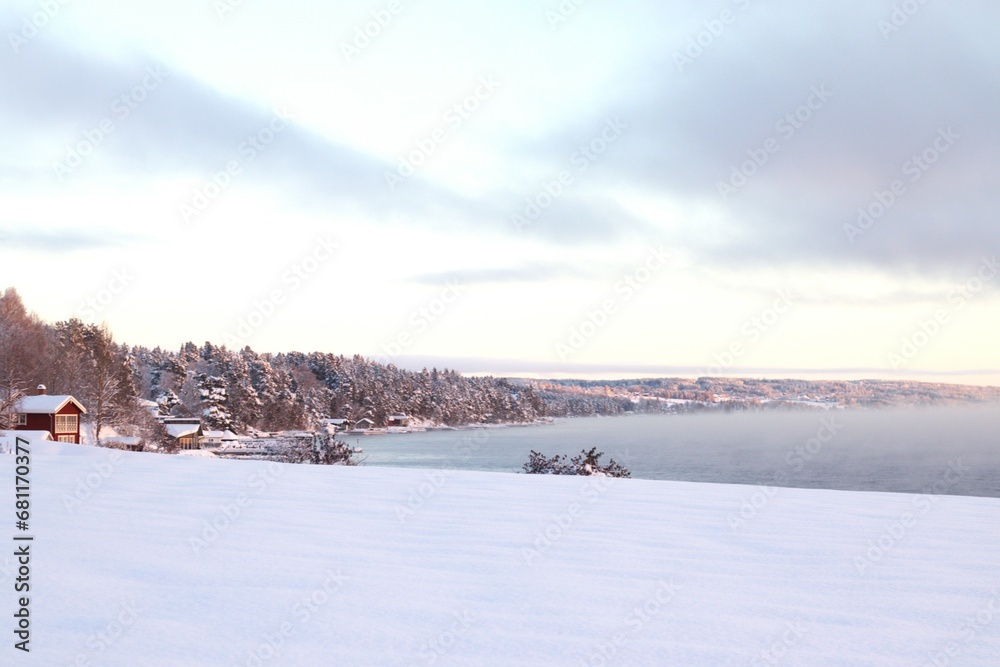 winter landscape with snow