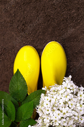 Boots Yellow Ground Flowers photo