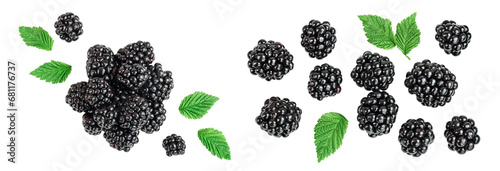 blackberry isolated on a white background closeup. Top view. Flat lay